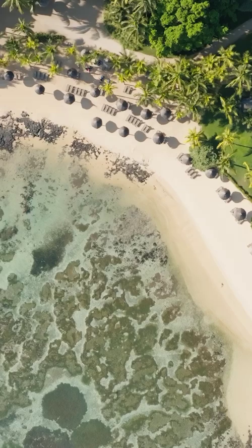 canonnier-snapshot-m