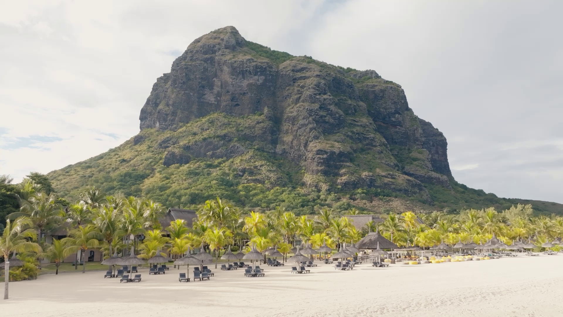 dinarobin-snapshot-d