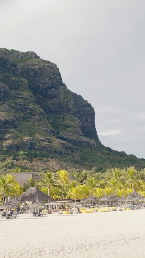 dinarobin-snapshot-m