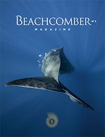 Beachcomber Magazine 03