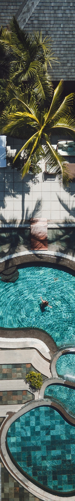 Royal-palm-1