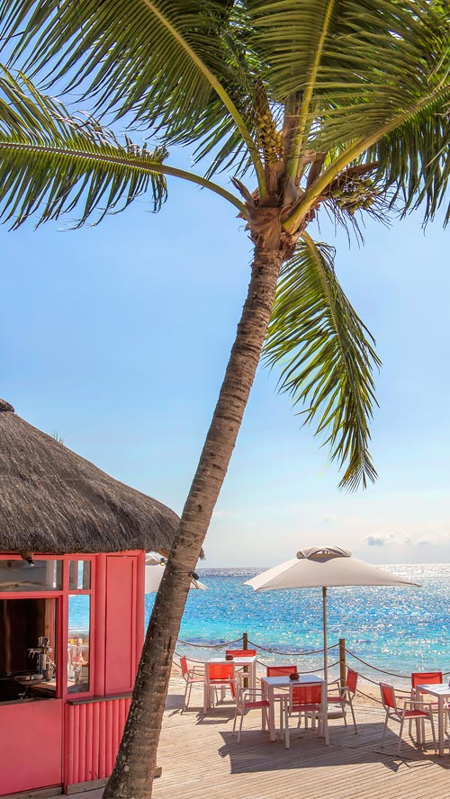 slider-pinky-bar-500x888-m