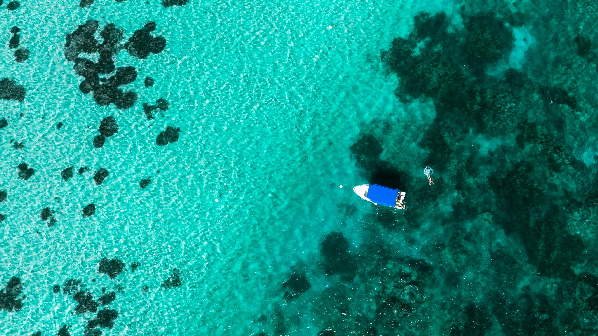 Blue Bay Marine Park - Mauritius