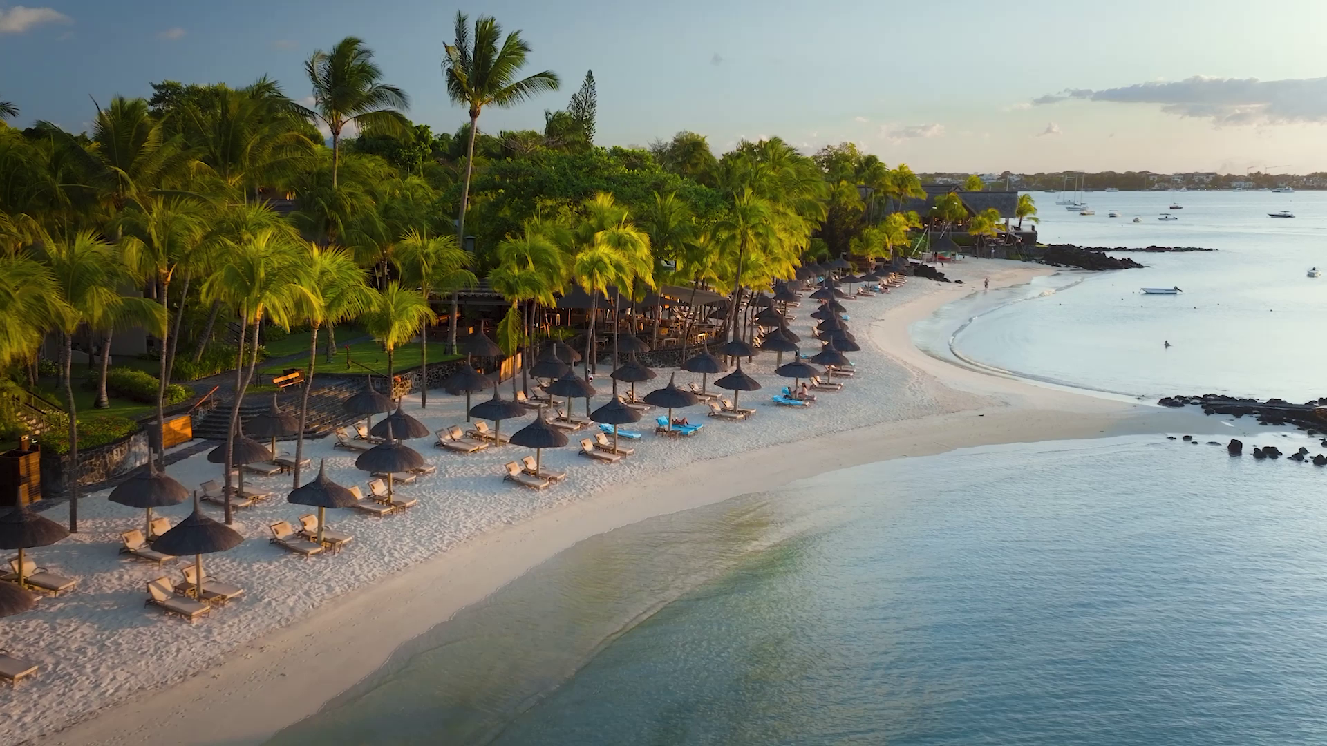 royal-palm-snapshot-d