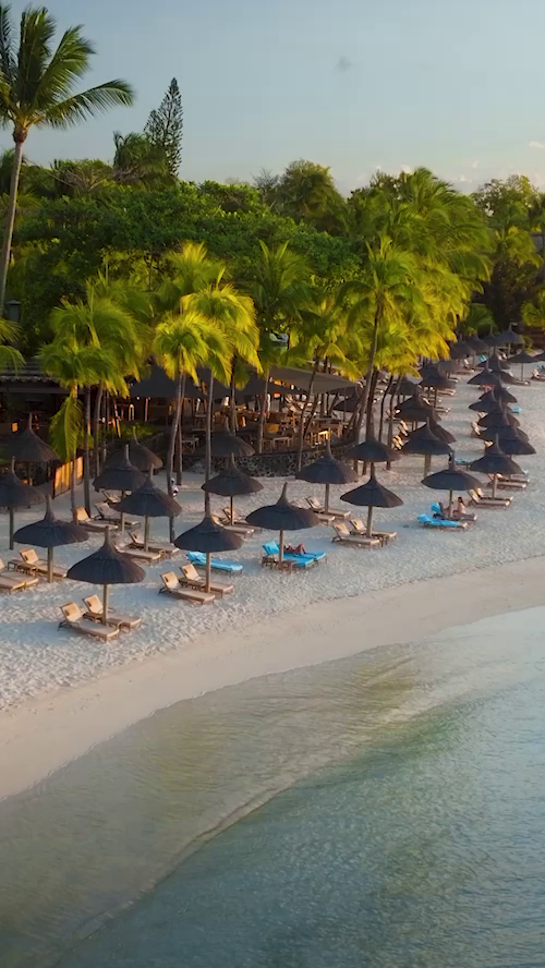 royal-palm-snapshot-m