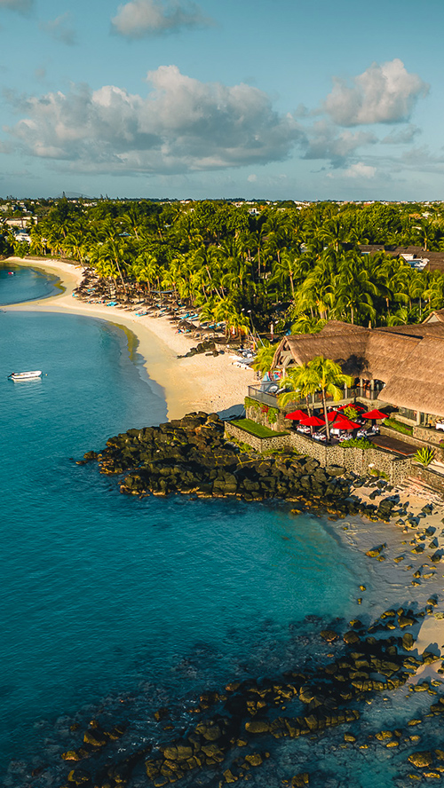 slider-royal-palm-500x888-m