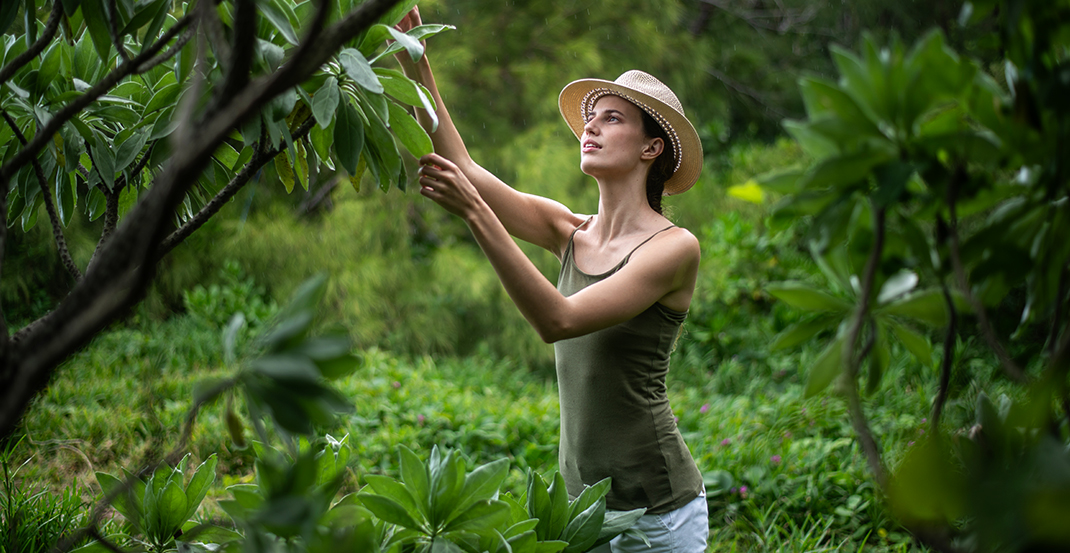 mega-menu-shandrani-1070x553-d