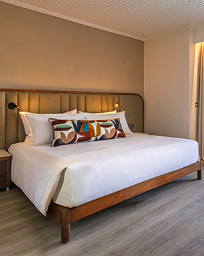 teaser-deluxe-room-view-cut-290x363-m