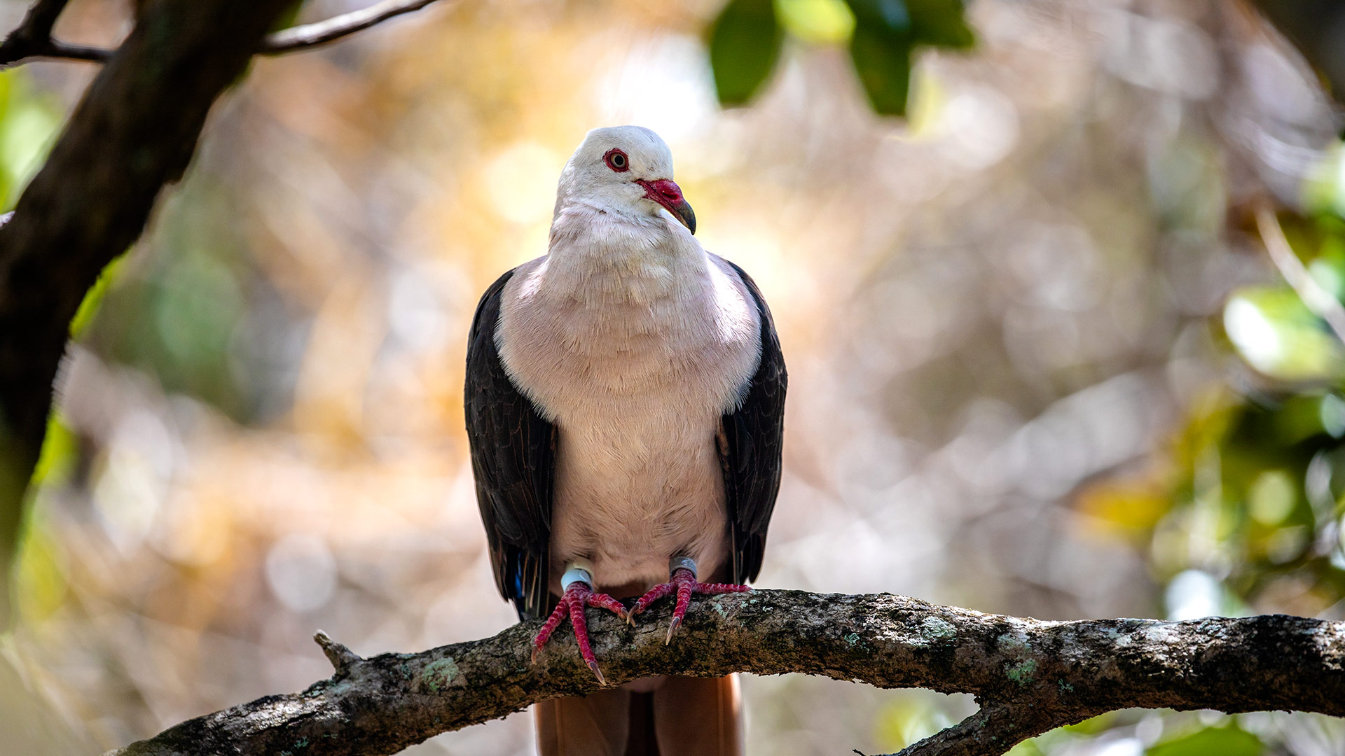 slider-best-time-to-visit-mauritius-1920x1080-d