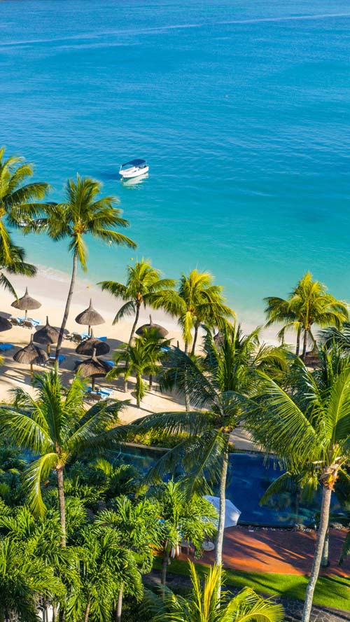 slider-february-offer-500x888-m