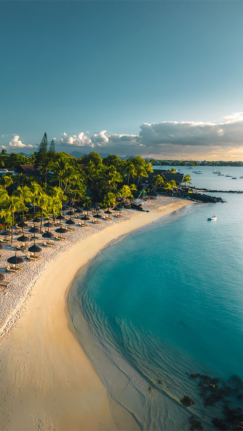 slider-Fev-500x888-m