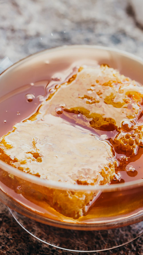 slider-honey-500x800-m