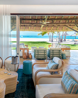 teaser-dinarobin-290x363-m