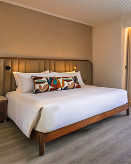 teaser-deluxe-room-view-cut-290x363-m