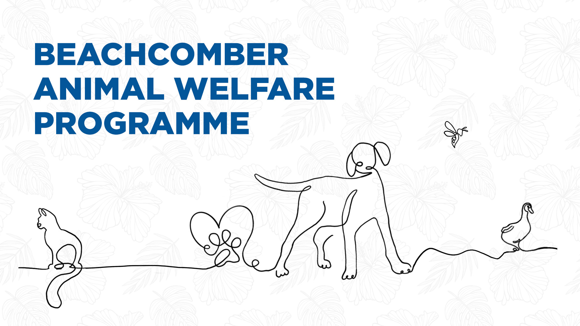beachcomber-animal-welfare-programme-slider-d