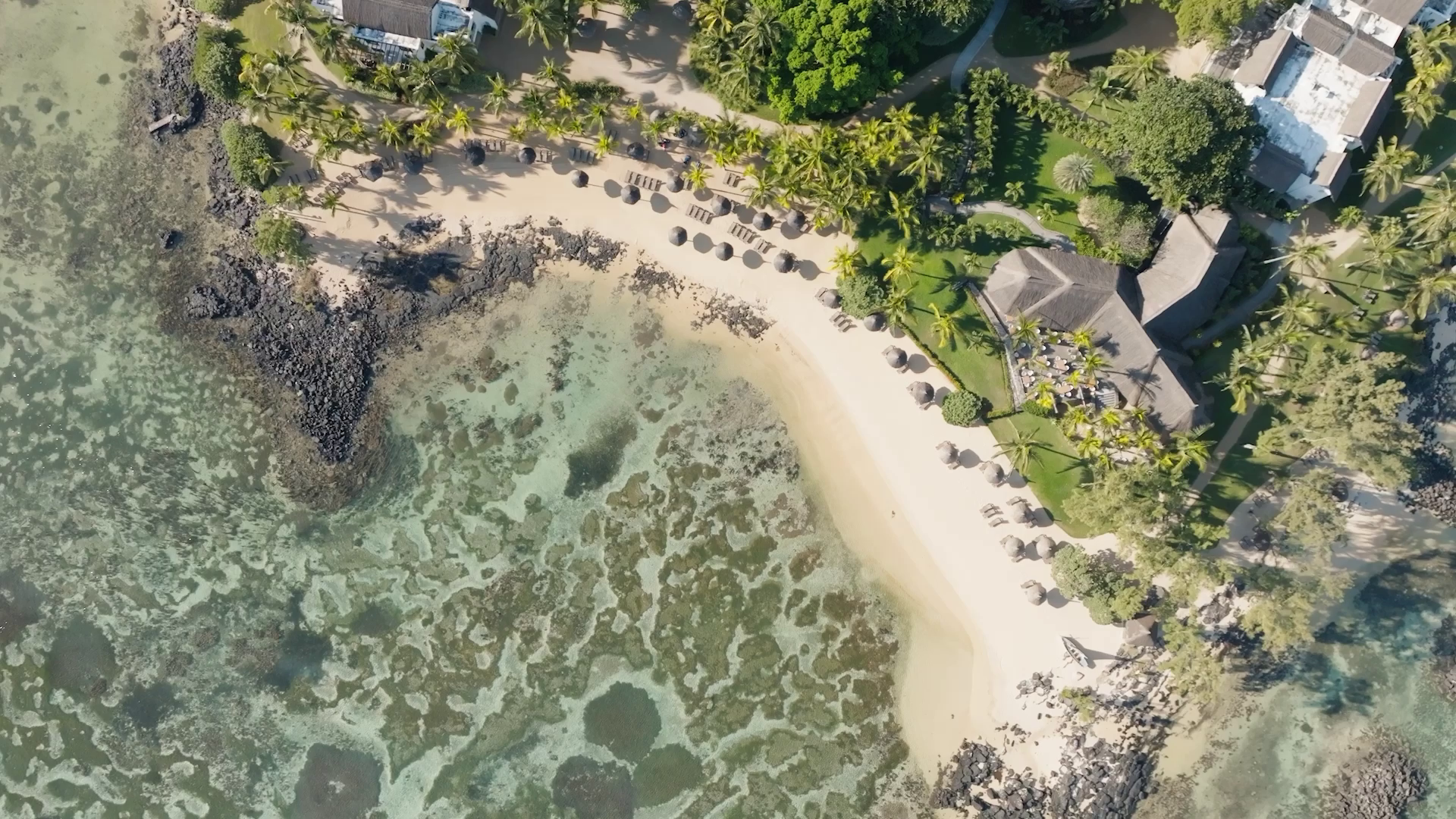 canonnier-snapshot-d