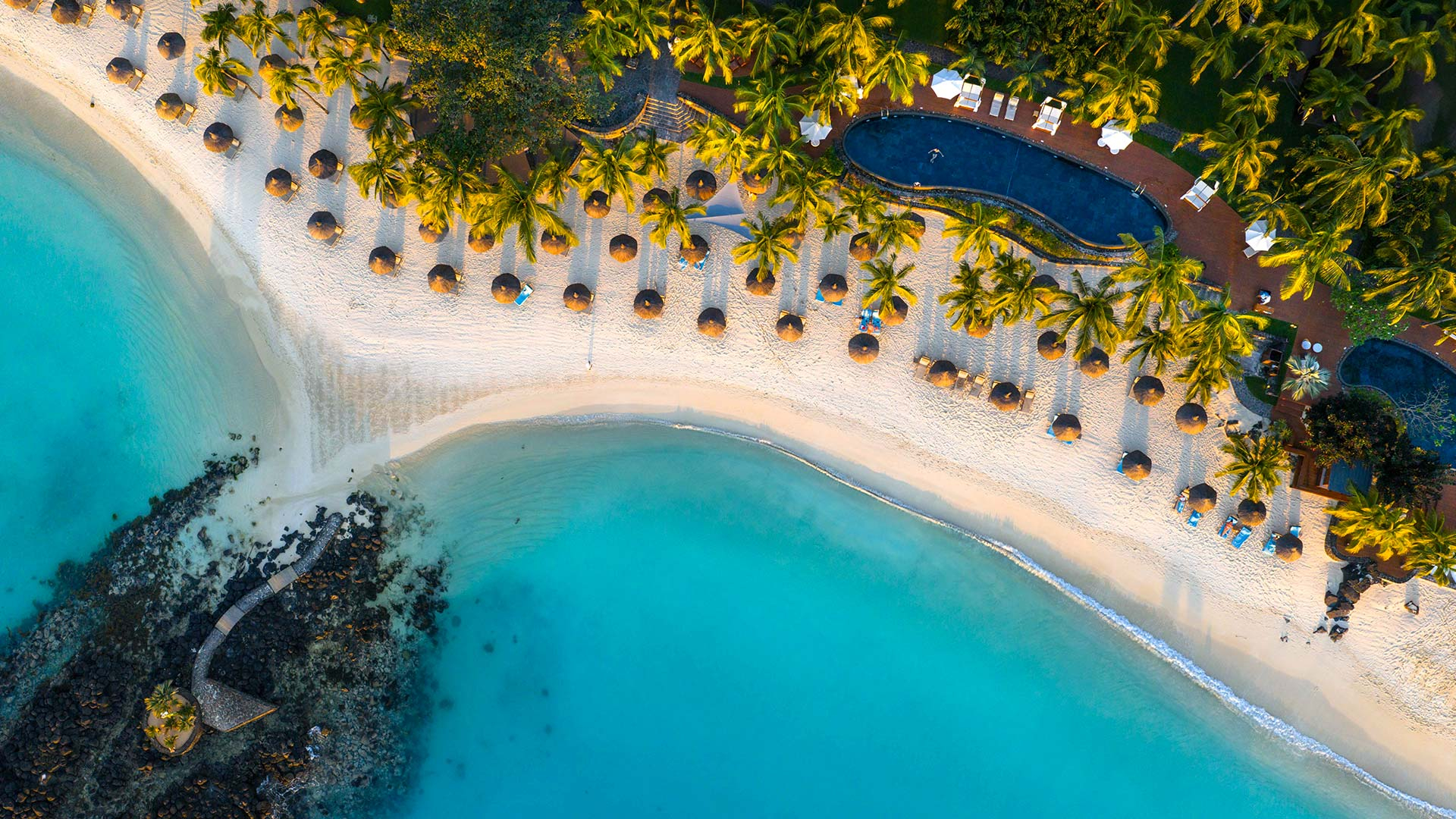 slider-royal-palm-1980x1080-d