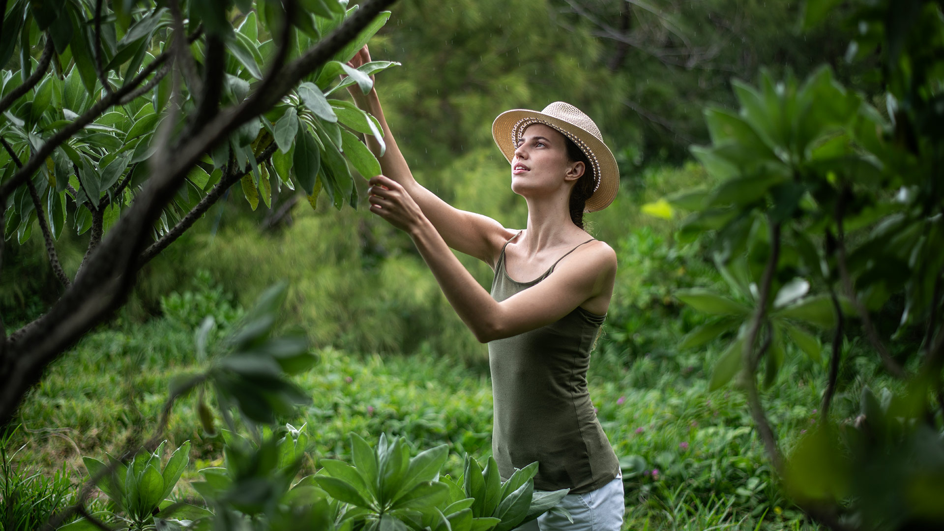 slider-environmental-responsibility-1920x1080-d