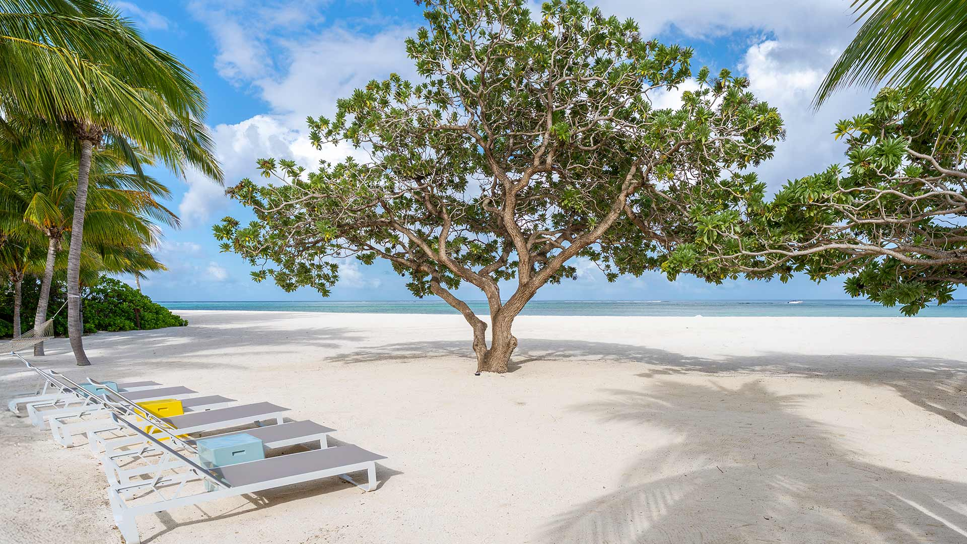 slider-cookie-policy-1920x1080-d