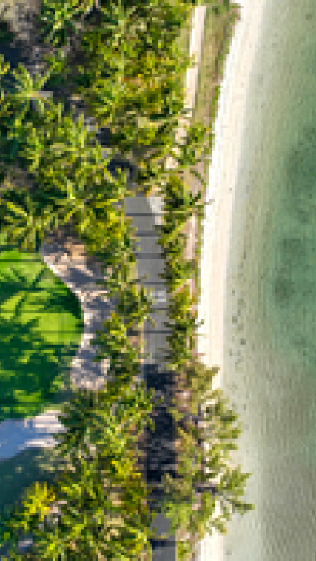 Paradis Beachcomber Reopening