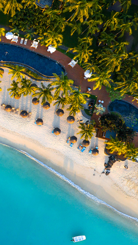 slider-royal-palm-1980x1080-d