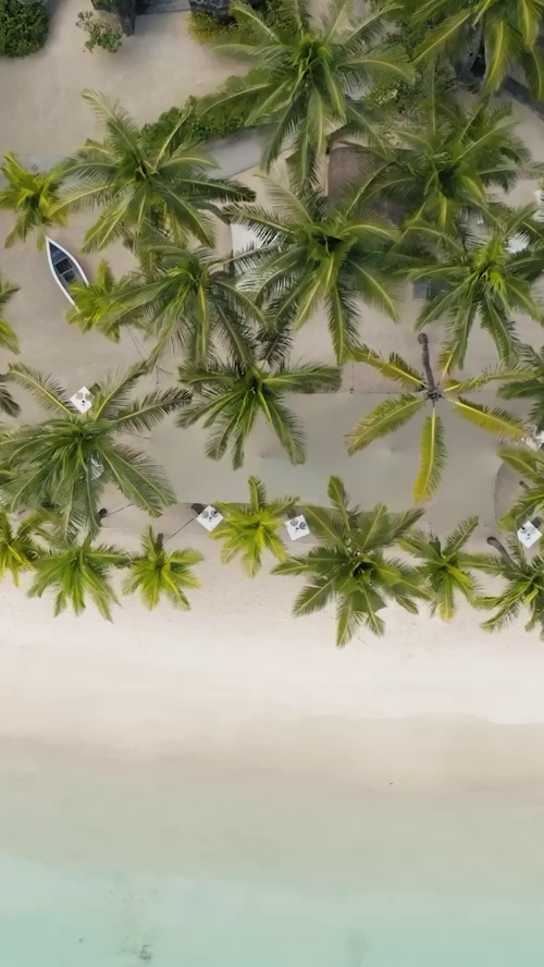 trou-aux-biches-snapshot-m