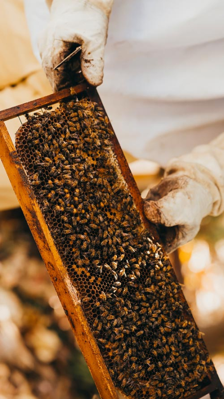 experience-honey-slider-1920x1080-d