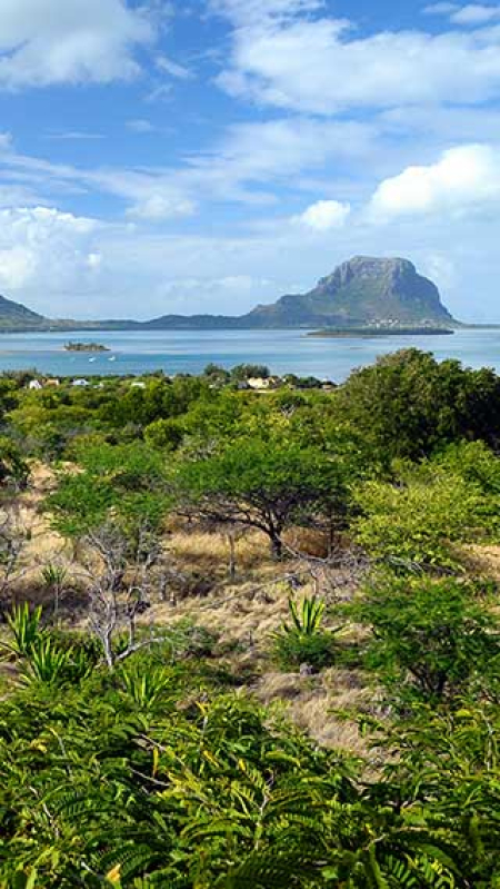 Harmonie Golf  & Beach Estate